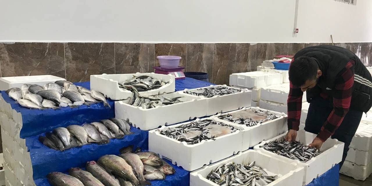 Balık satışları arttı, esnafın yüzü güldü