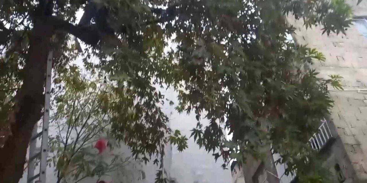 Bir garip kedi kurtarma operasyonu