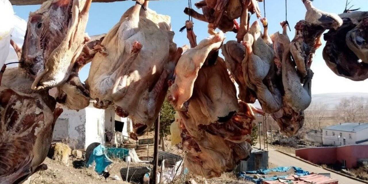 Kazlar kurutulmaya başlandı