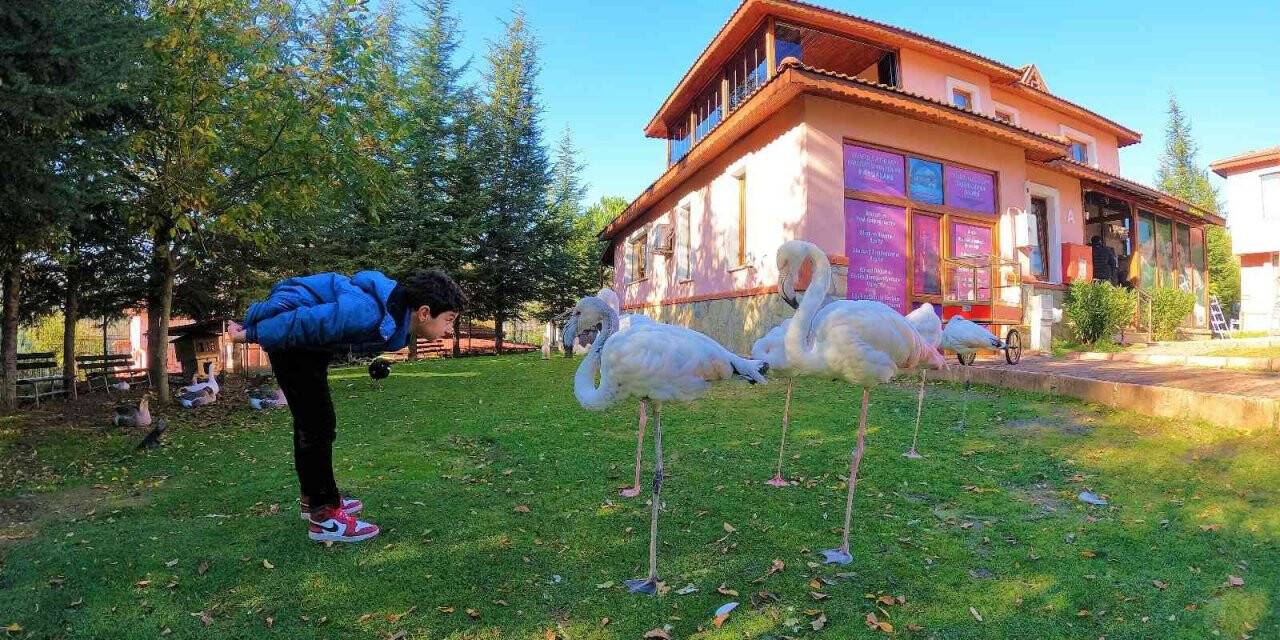 5 yaşına kadar konuşamadı, şimdi yazmayı bile öğrendi