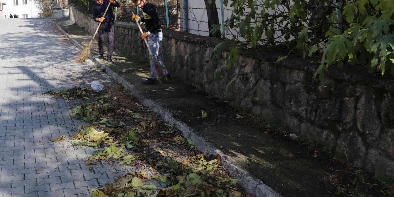 Havza Belediyesi’nden sonbahar temizliği