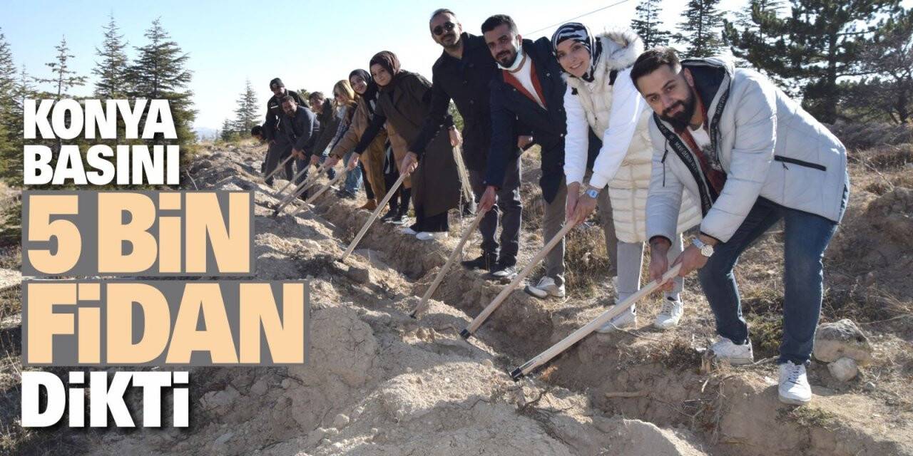 Konya Basını 5 bin fidan dikti