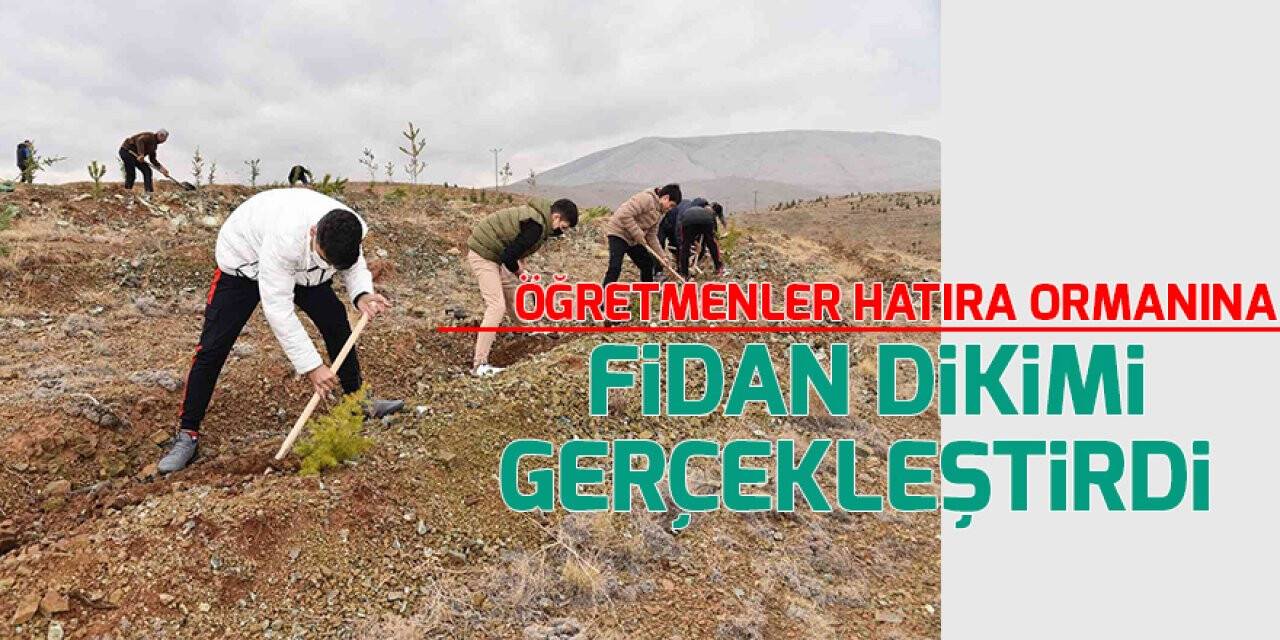 Öğretmenler hatıra ormanına  fidan dikimi gerçekleştirdi
