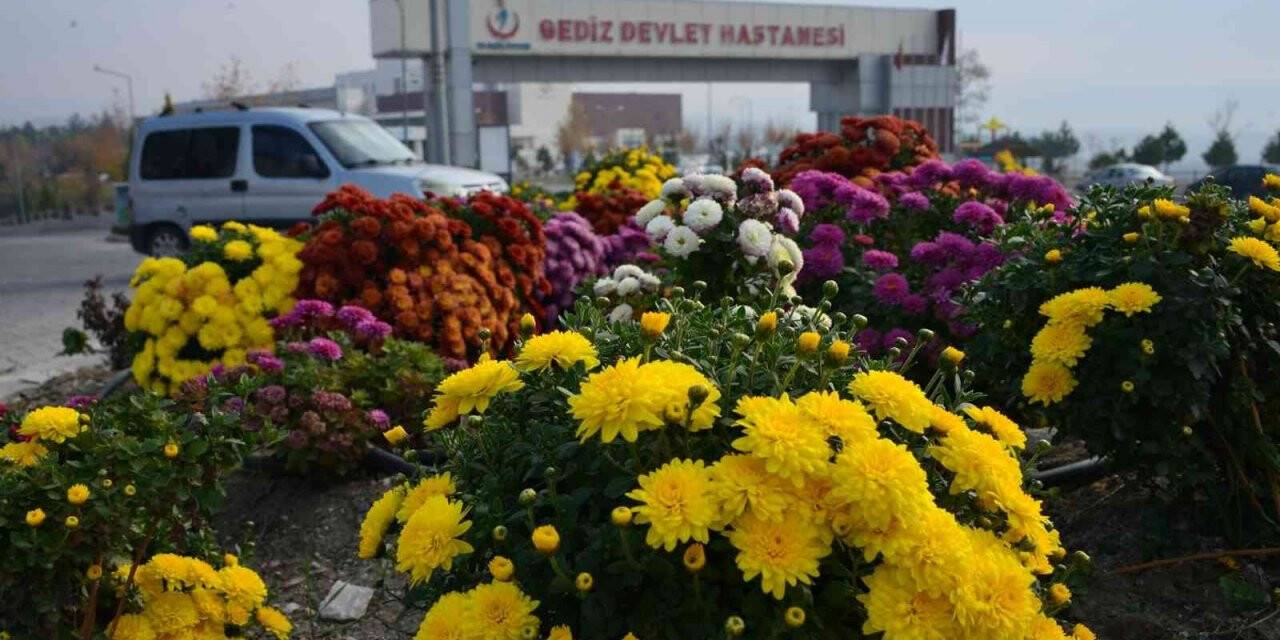 Gediz’de her mevsim çiçek açıyor