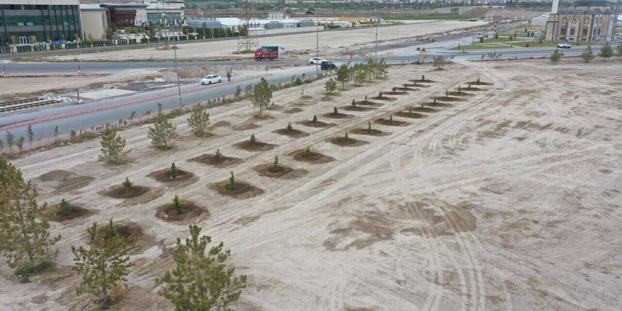 Başkan Çolakbayrakdar: "Kocasinan yeşil kalkınma hedefinin lokomotifi olacak"