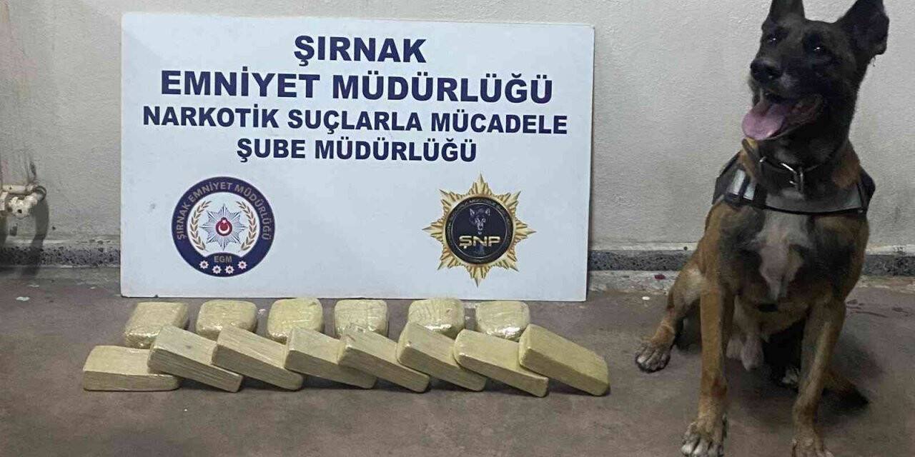 Şırnak’ta terörün finans kaynaklarına operasyon: 34 gözaltı