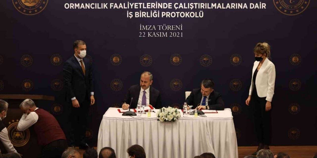 Hükümlüler orman yangınlarına müdahale edecek