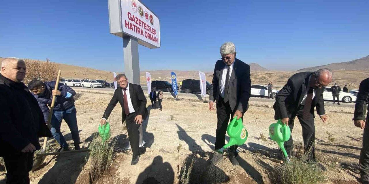 Konya’da Gazeteciler Hatıra Ormanı’na 5 bin fidan dikildi