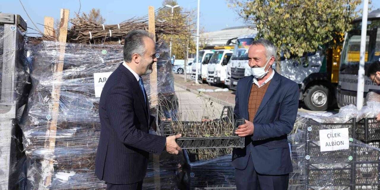 Bursa’nın toprağı Büyükşehir’le bereketleniyor