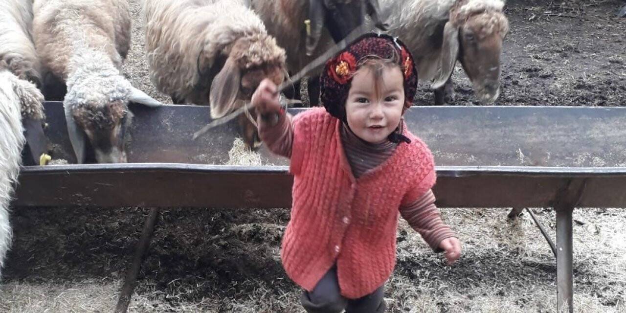 Yörük kızı Müslüme’nin ölümüyle ilgili yayın yasağı getirildi