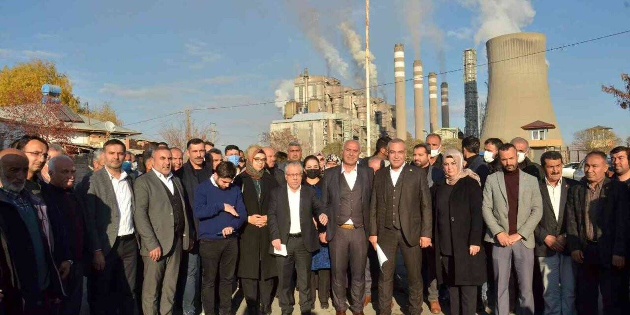 Filtresiz santralin bacalarından kül yağmasına tepki