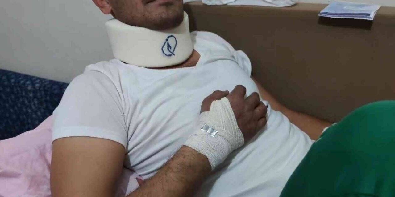 Bir ayı saldırısı da Bursa’dan
