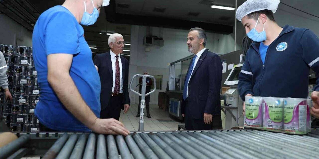 Başkan Aktaş, "Marmarabirlik, zeytinciliğin pusulası"