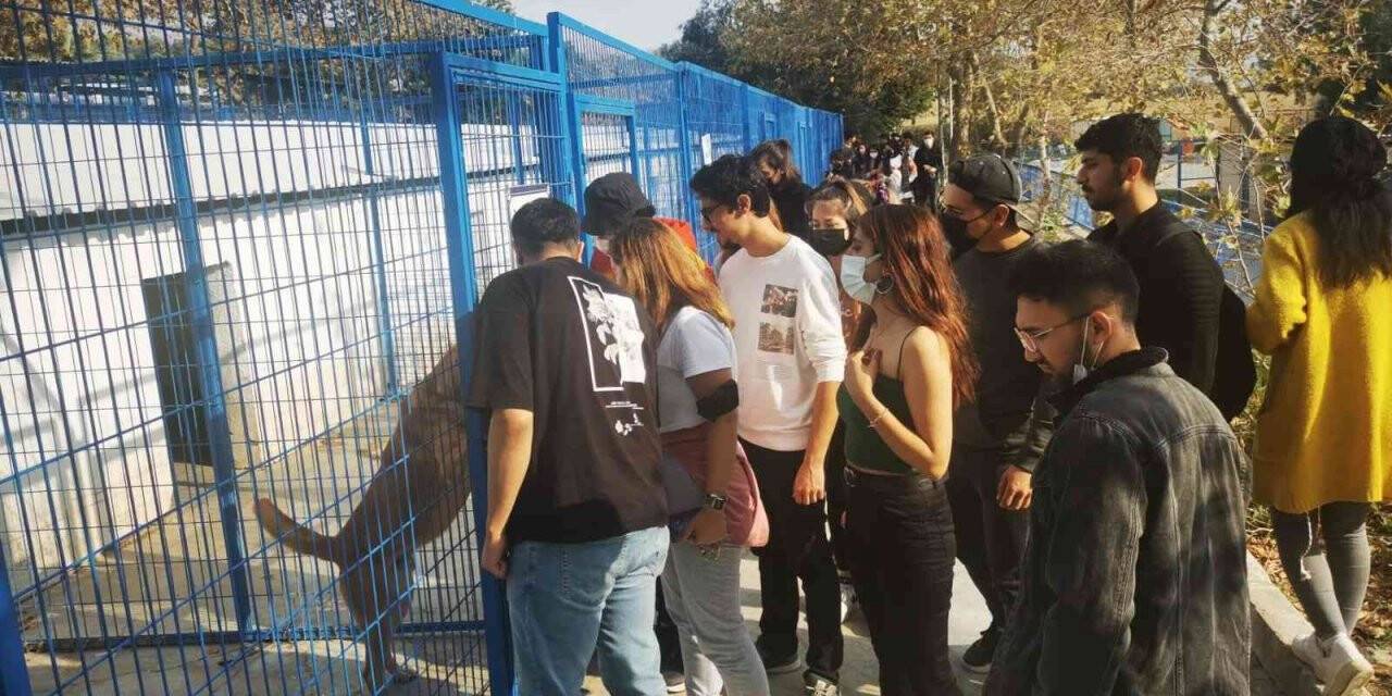 Üniversite öğrencileri can dostları yalnız bırakmadı