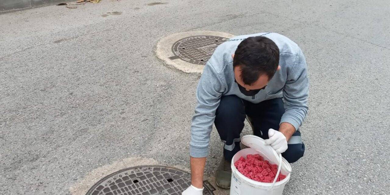 Haşerelere karşı mücadele