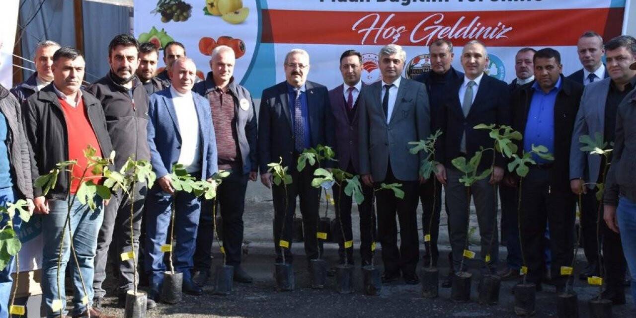Manisalı üreticilere iki kurumdan fidan desteği