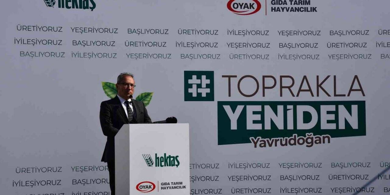 HEKTAŞ, orman yangınlarından etkilenen üreticiler için proje başlattı