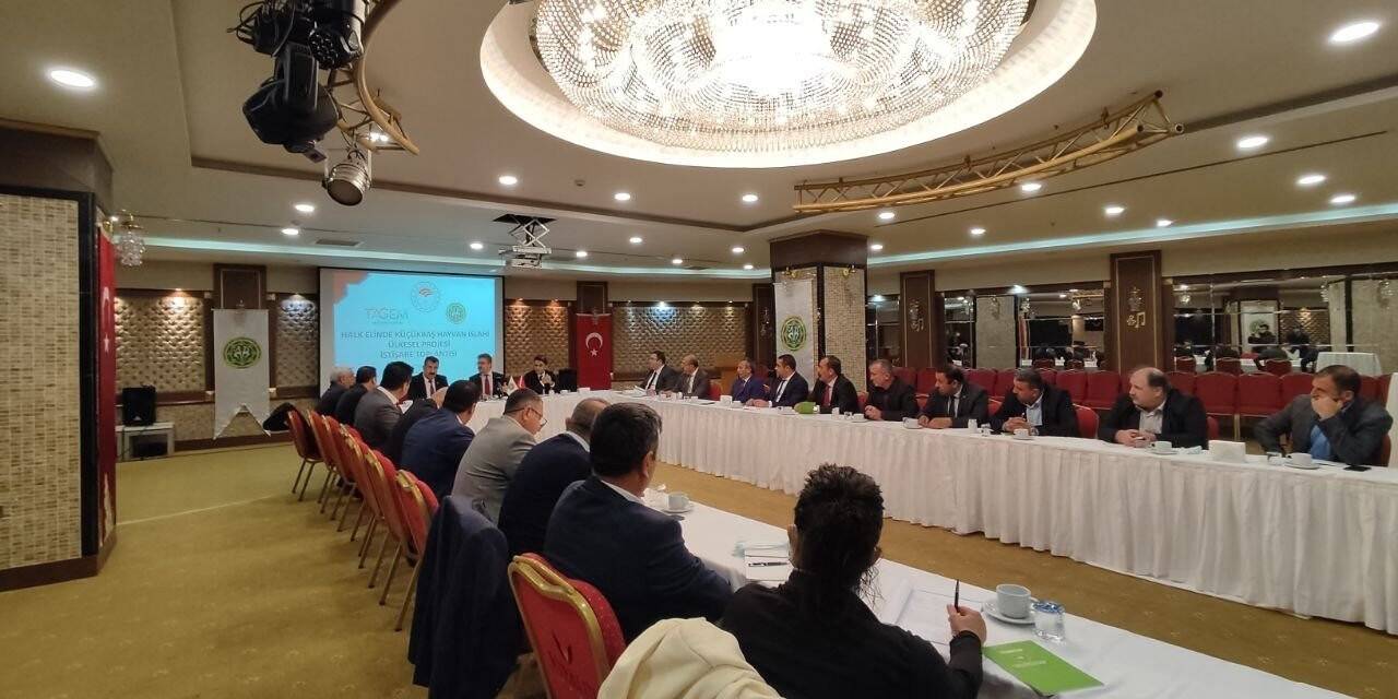Halk Elinde Küçükbaş Hayvan Islahı Ülkesel Projesi hakkında toplantı düzenlendi