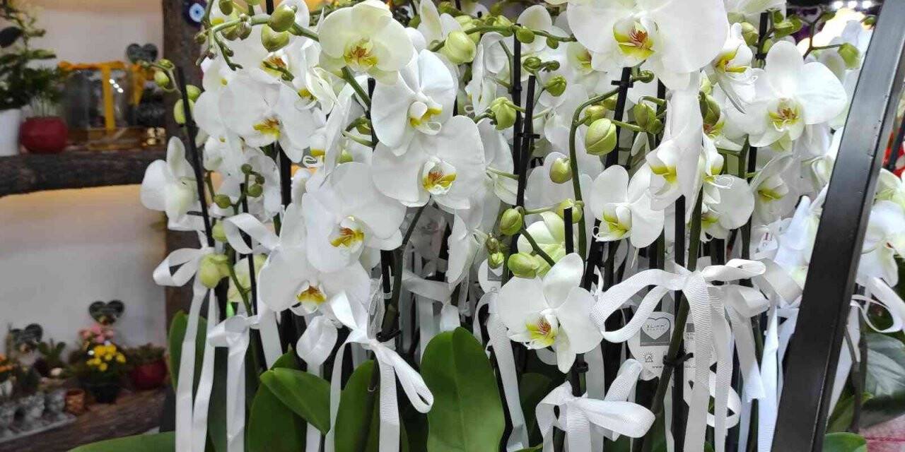 Çiçekçiler Öğretmenler Günü’ne hazır