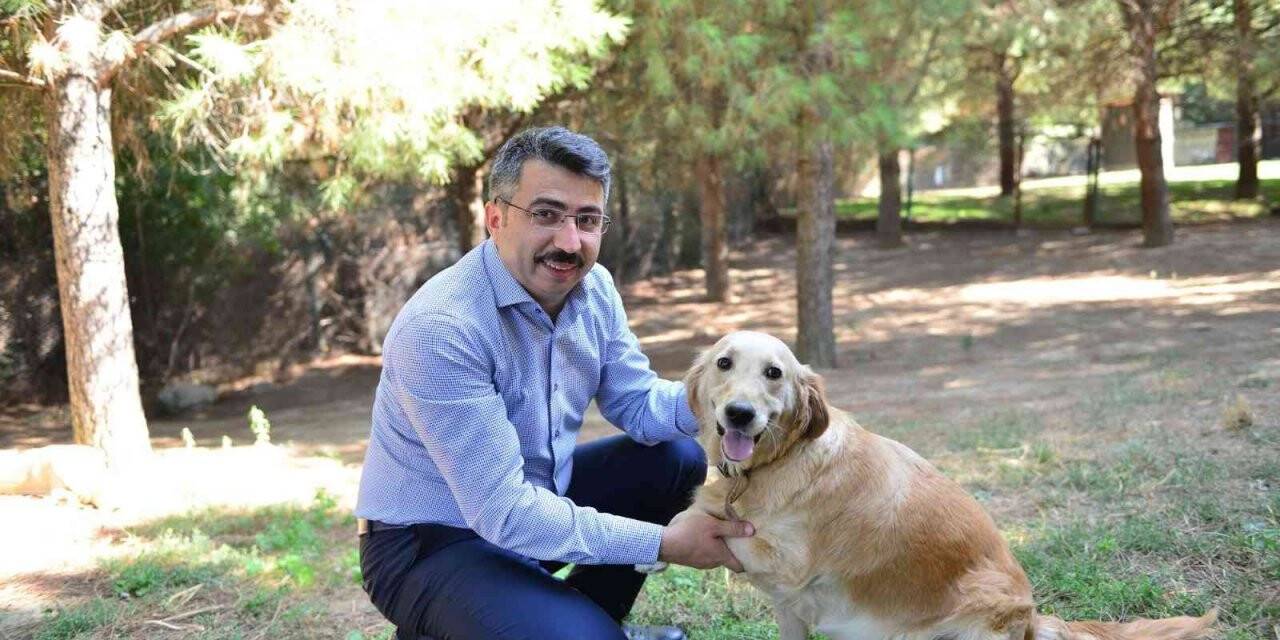 Kısıtlamalarda satın aldıkları can dostlarını usanınca sokağa atıyorlar