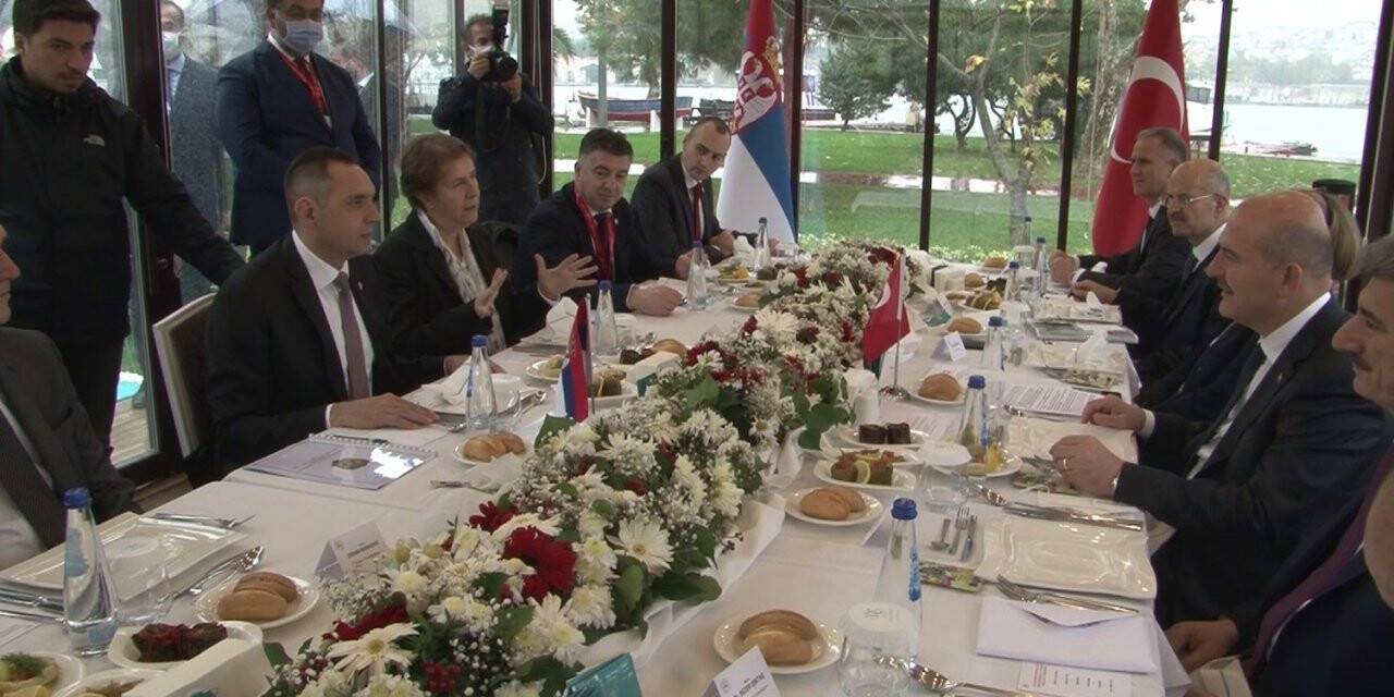 İçişleri Bakanı Soylu, Sırbistanlı mevkidaşı Vulin’le bir araya geldi
