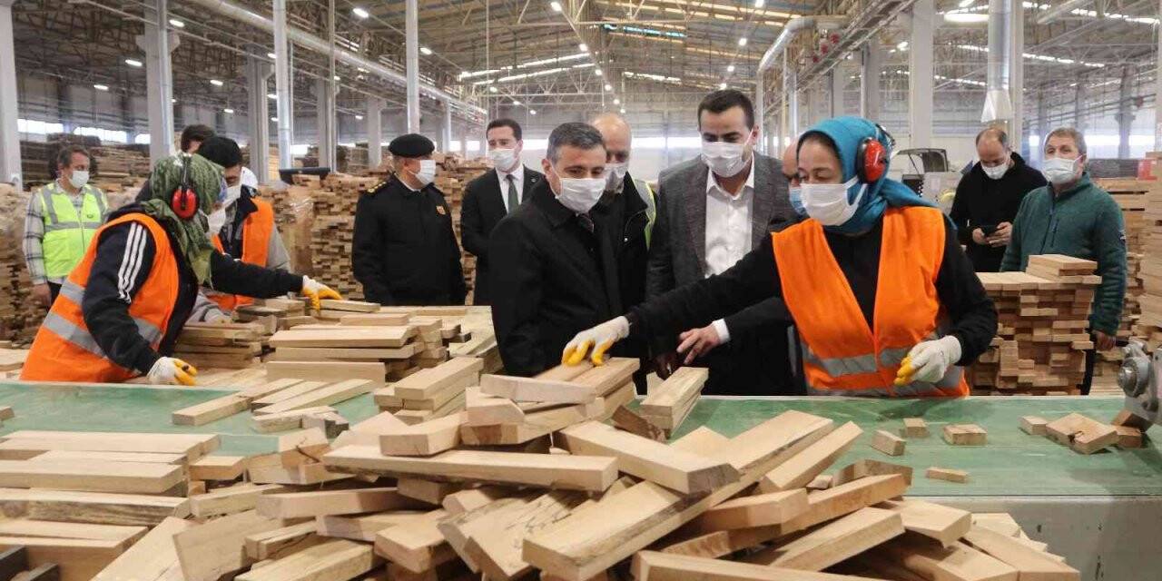 Kendi enerjisini üreten fabrikaya hayran kaldılar