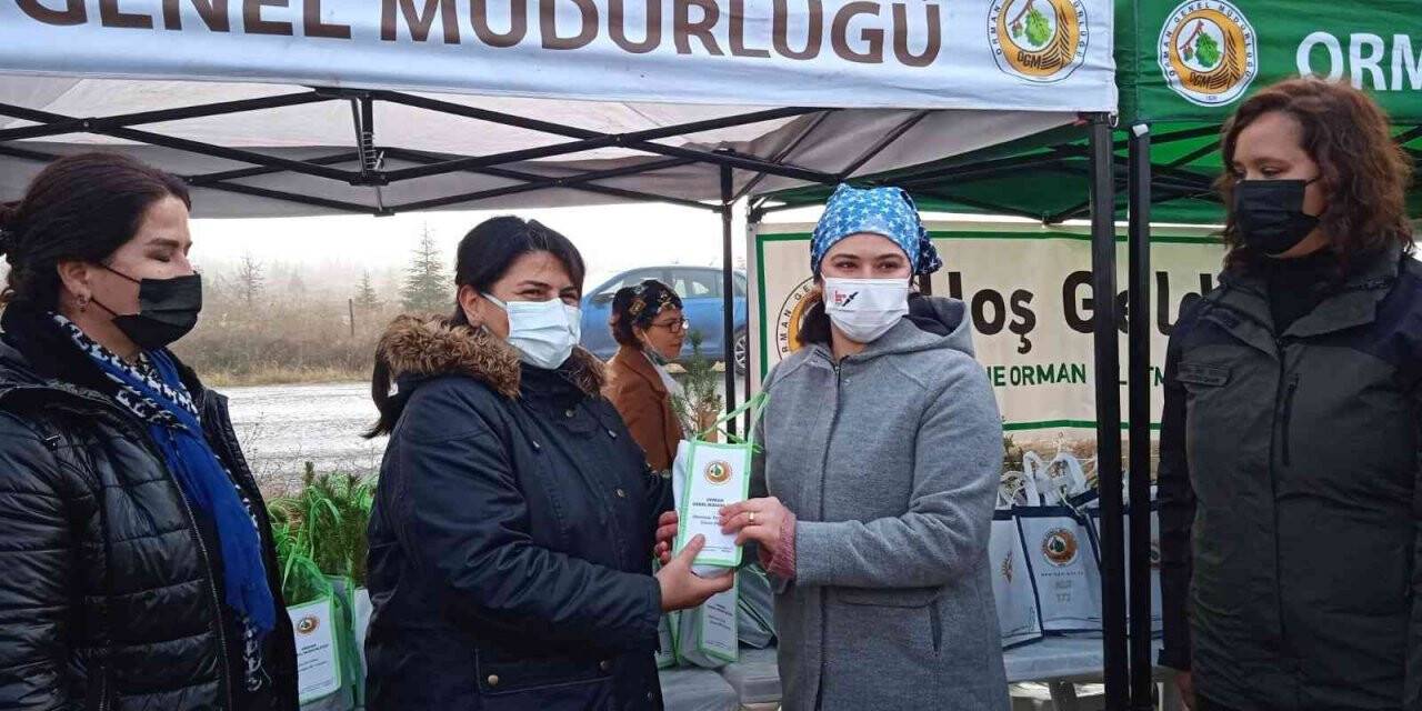 Edirne’de "Tıbbi Aromatik Bitkiler Ormanı" kuruluyor