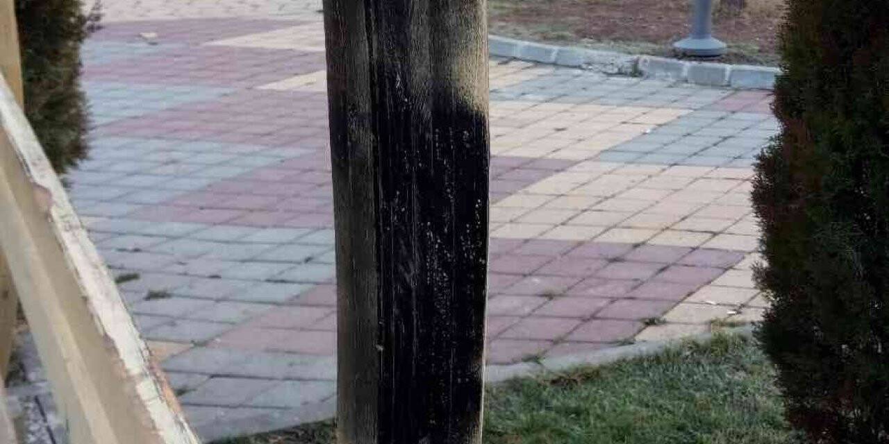 Şehir magandaları parktaki kamelyaları yaktı