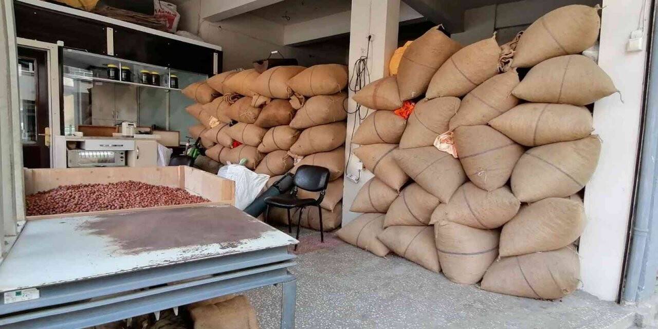 Doların yükselişi fındık fiyatlarını hareketlendirdi