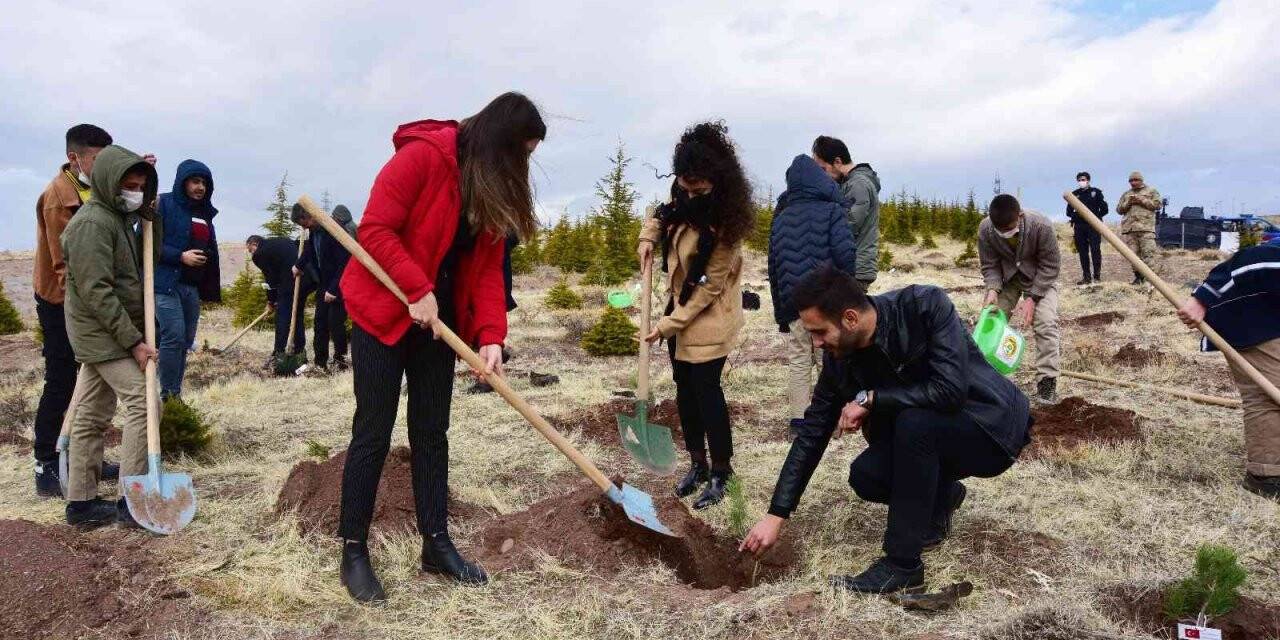 Ahlat’ta şehit öğretmenler anısına fidan dikildi