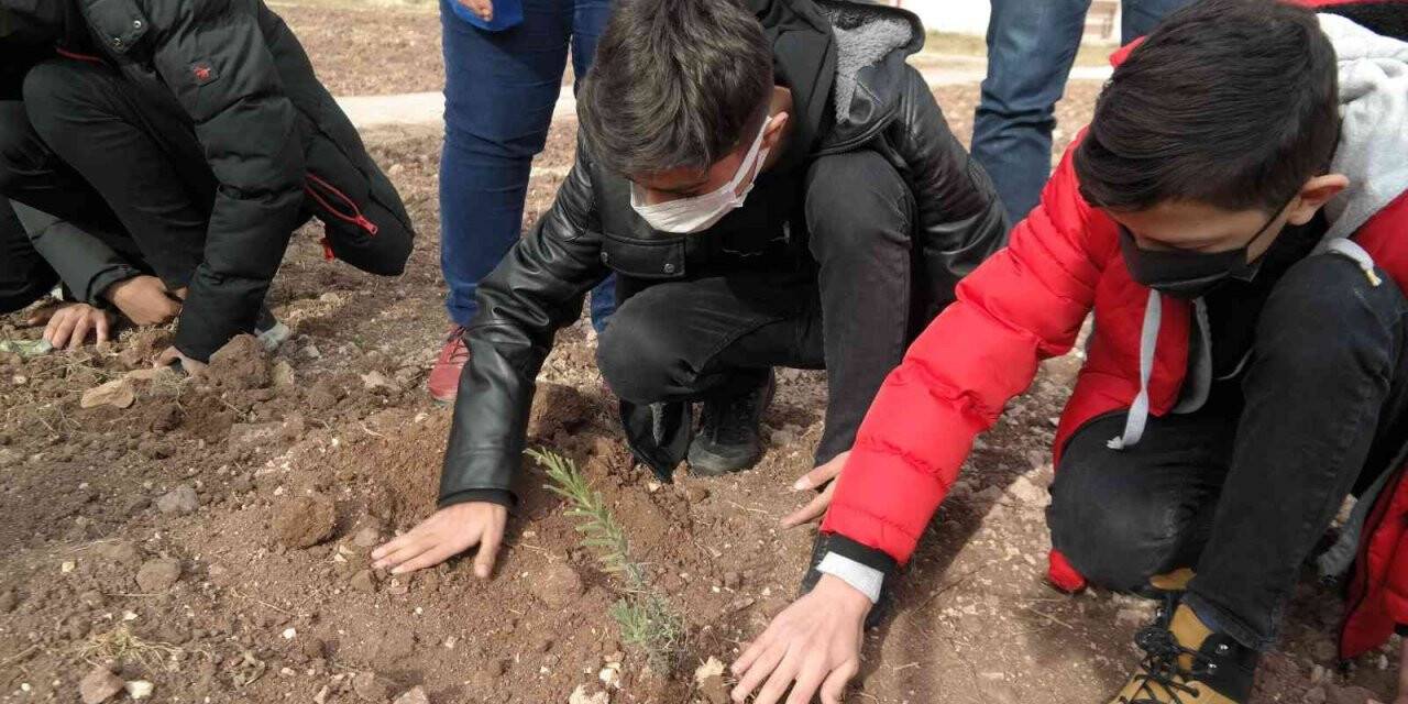 Öğretmenlerine bir çiçek yerine çiçek bahçesi hediye ettiler