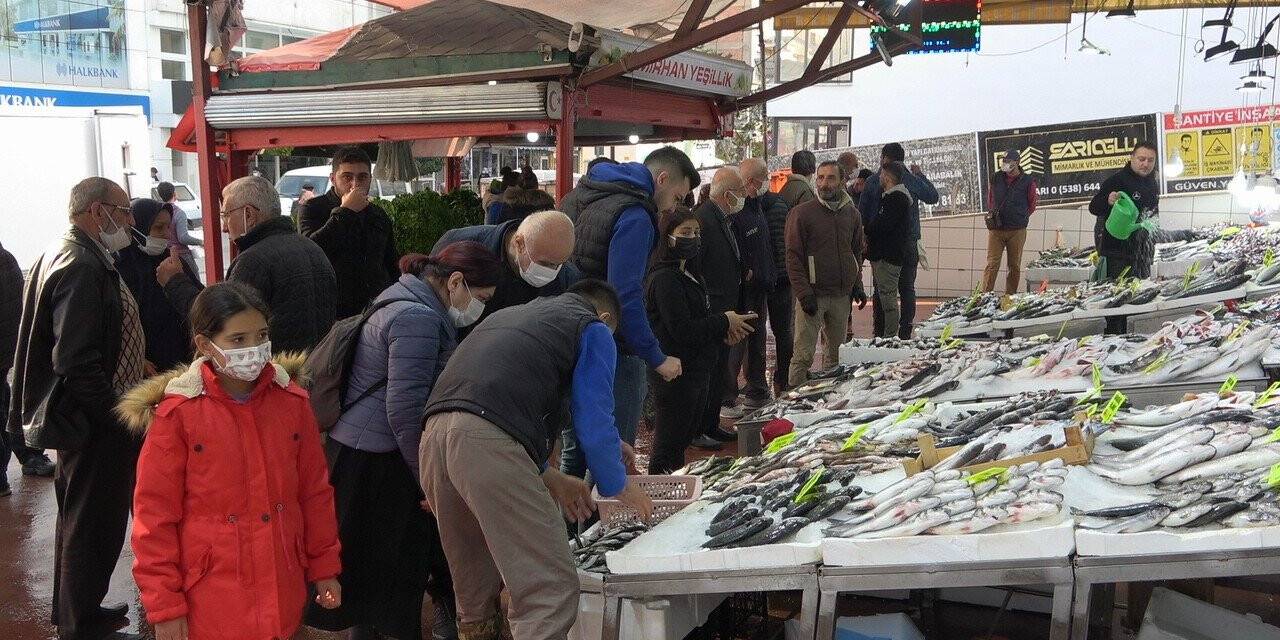 Balık çeşitliği artmasıyla tezgahlar şenlendi