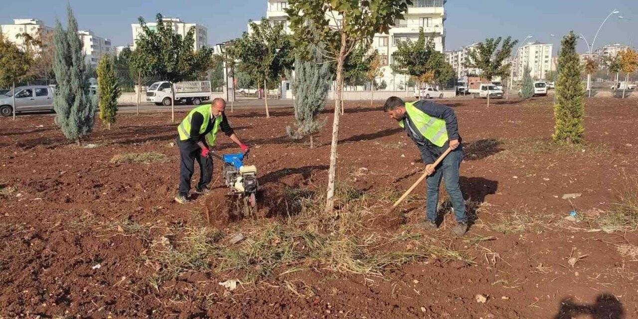 Bağlar belediyesi, çok amaçlı park faaliyete koydu
