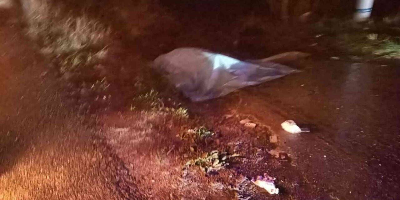 Aydın’da trafik kazası: 1 ölü