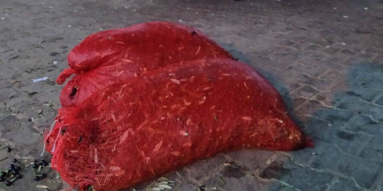 Çaldığı zeytinleri satarken yakalandı