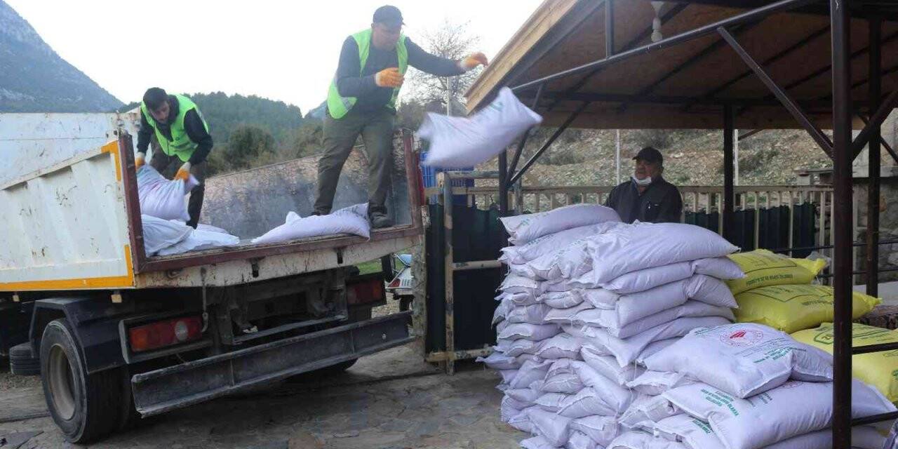 İbradılı üreticilere 3 ton hibe buğday tohumu teslim edildi