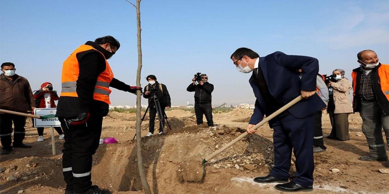 İnönü üniversitesinde yeni açılan bulvar ağaçlandırılıyor