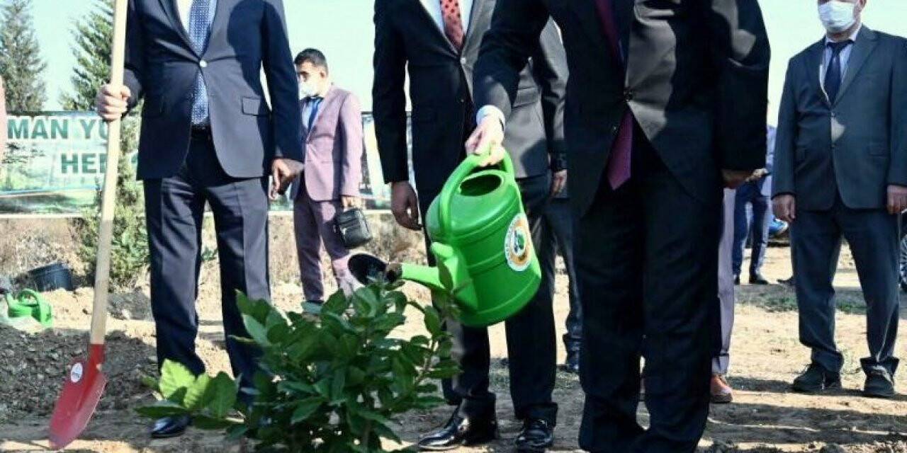 ‘Öğretmenler Günü Hatıra Ormanı’na 50 fidan dikildi
