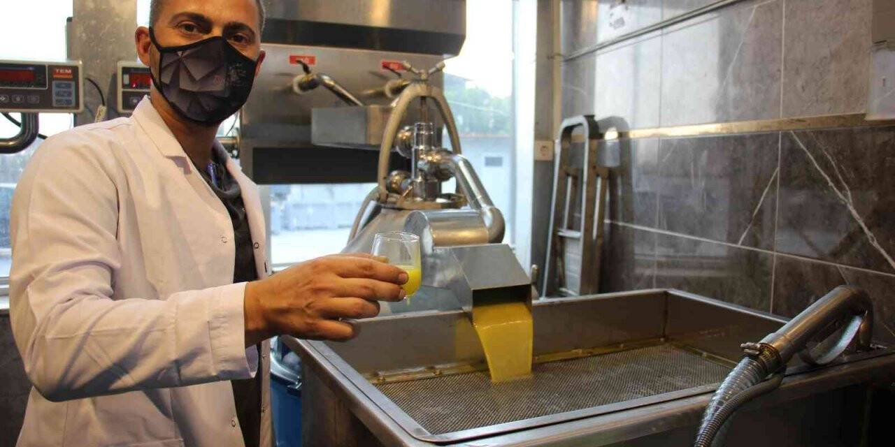 Zeytin sezonu ile birlikte yağhanelerde de yoğunluk başladı