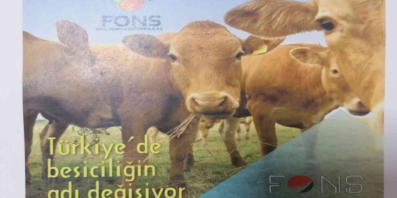 Saadet zinciri operasyonunda flaş gelişme: ’Yeni Çiftlik Bank’ olacaklardı