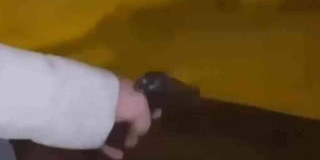 Maganda sağa sola böyle ateş açtı