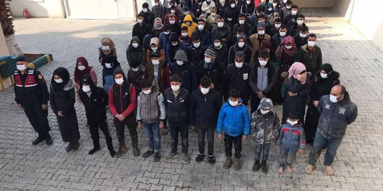 Hatay’da 228 kaçak göçmen yakalandı