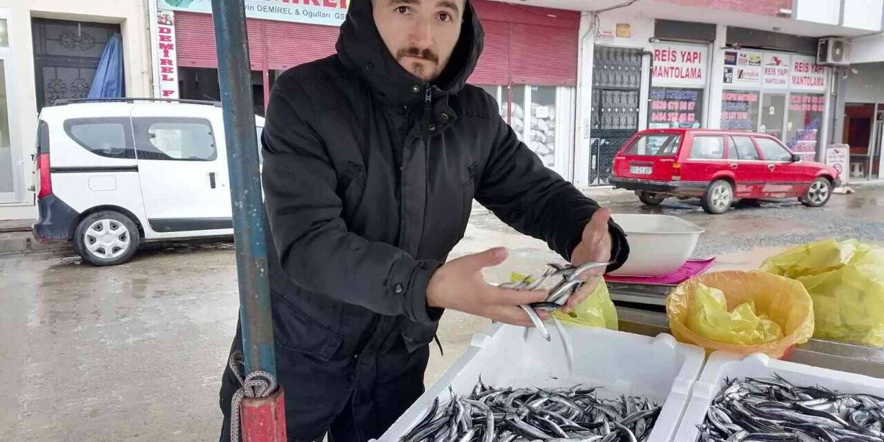 Hava koşulları hamsiyi etkiledi