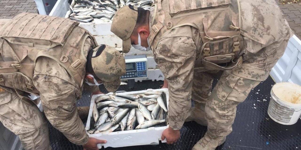 Nazik Gölü’nde kaçak avlanan 425 kilogram balığa el konuldu