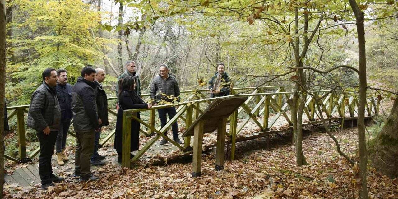 Suuçtu’ya Fransız ilgisi