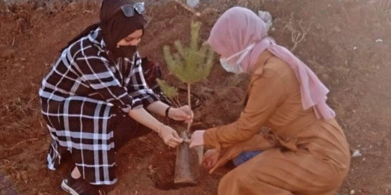 100 fidan toprakla buluştu