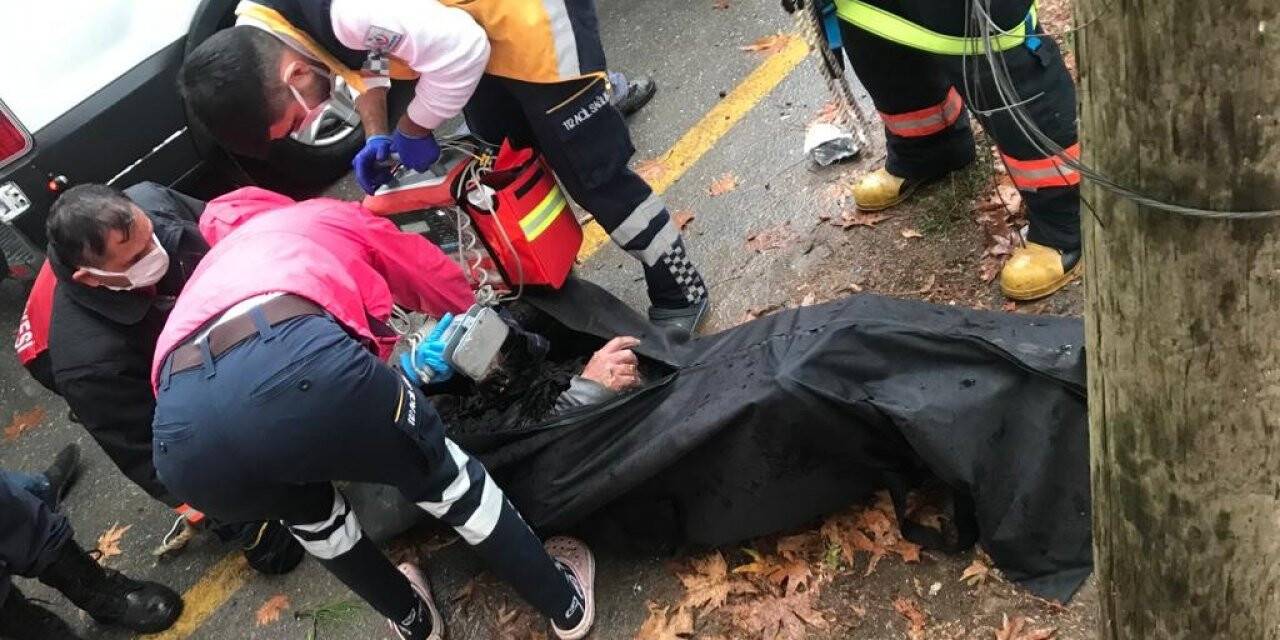 Kozalak toplarken elektrik akımına kapılıp hayatını kaybetti