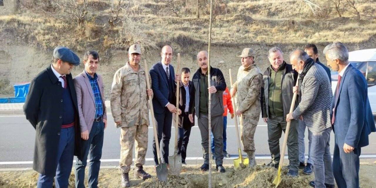Esendere Belediyesi 500 fidan dikti