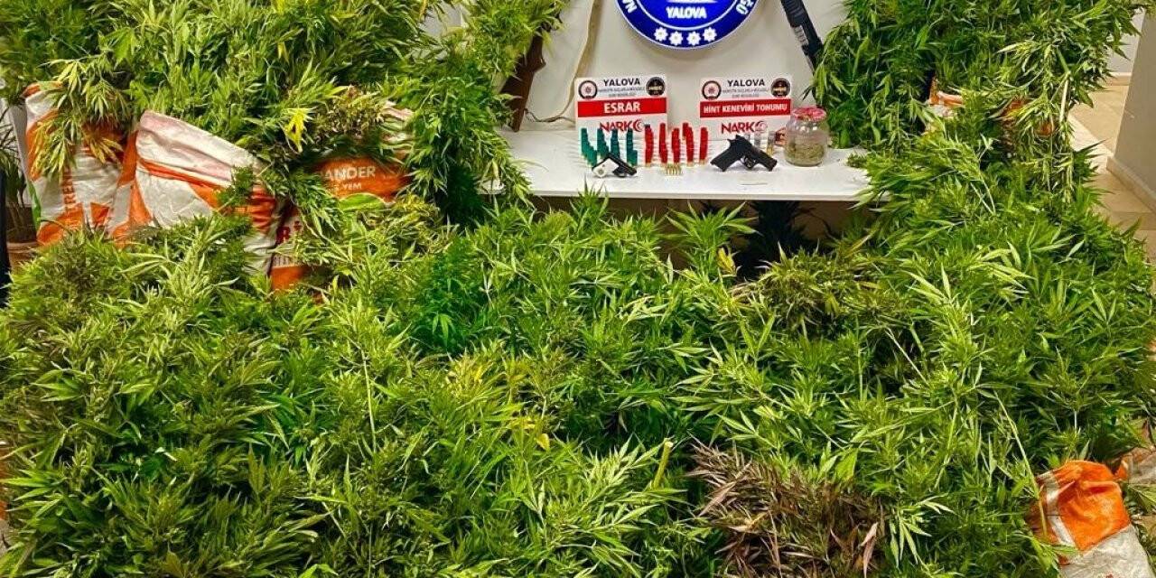Yalova’da uyuşturucu operasyonu
