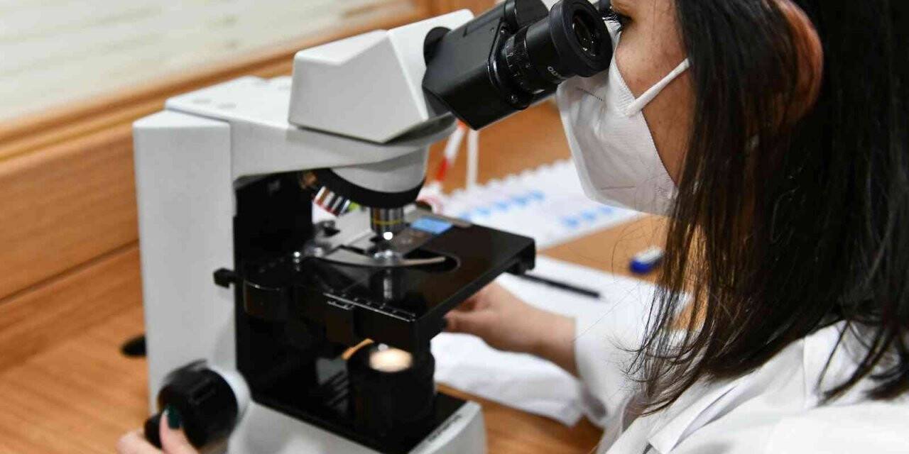 Ankara’da ücretsiz SMA testi için bin 911 çift başvurdu